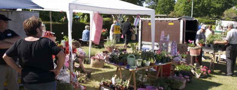 Plantemarked i Geografisk Have Kolding d. 5 Juni. Morgenfruens stand i Geografisk Have